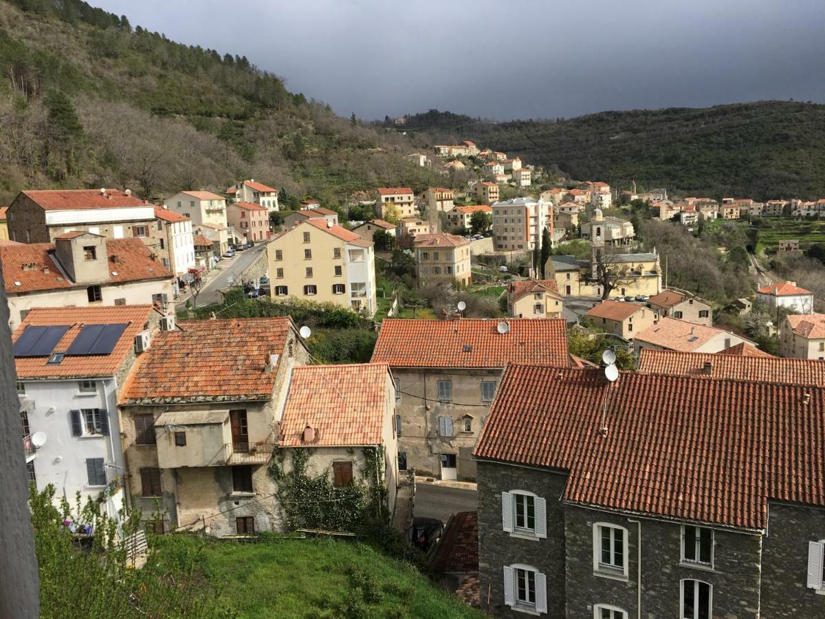 Maison Entiere Tout Equipe 4 Chambre Possibilite De 10 Couchage Venaco Centre Corse エクステリア 写真